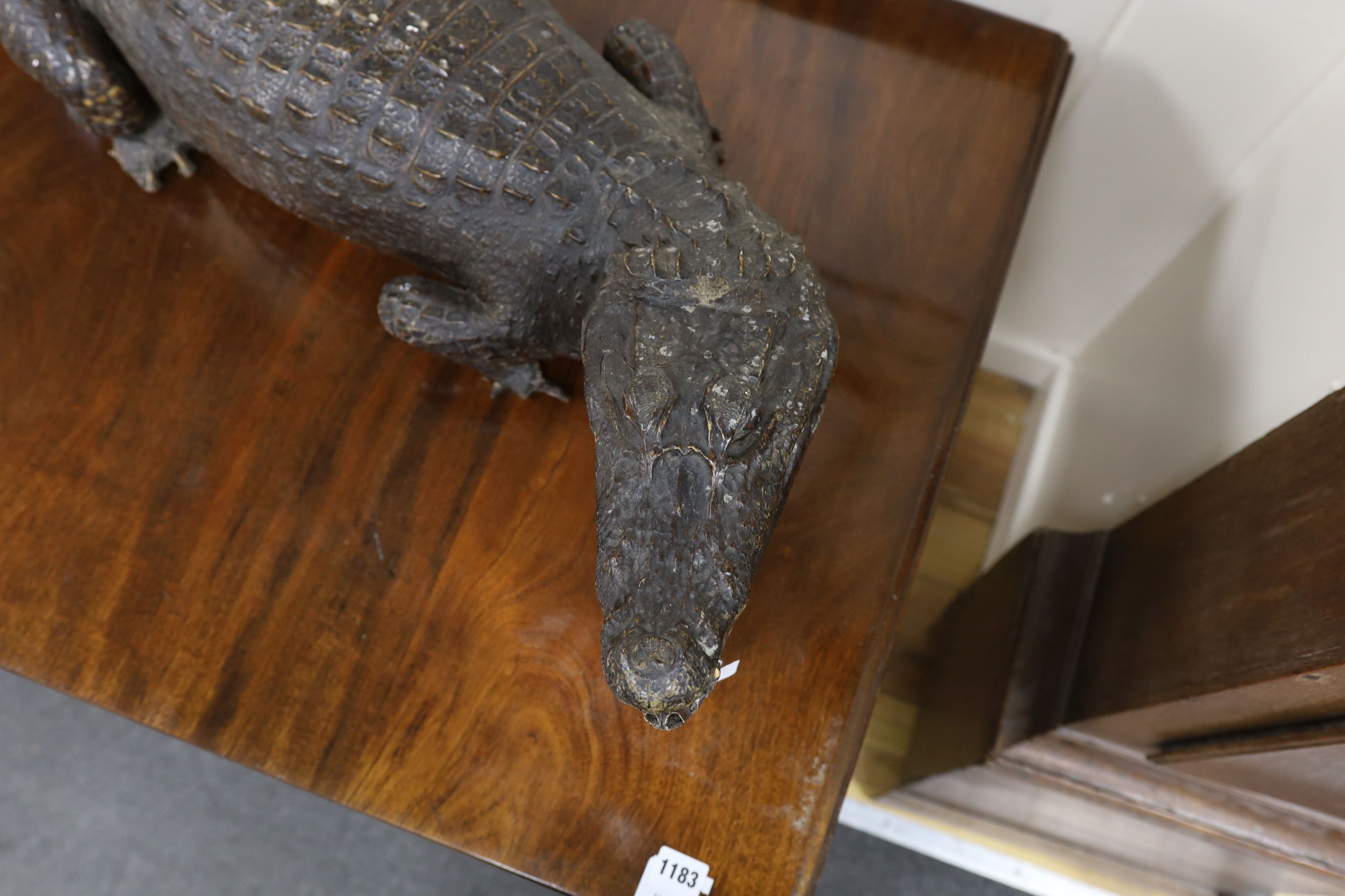 A taxidermy late 19th century Nile crocodile, approximately 92cm long